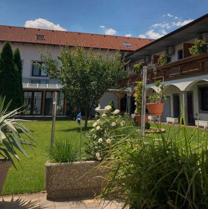 Gaestehaus Und Weinbau Zur Wiederkehr Strudler Hotel Podersdorf am See Exterior photo